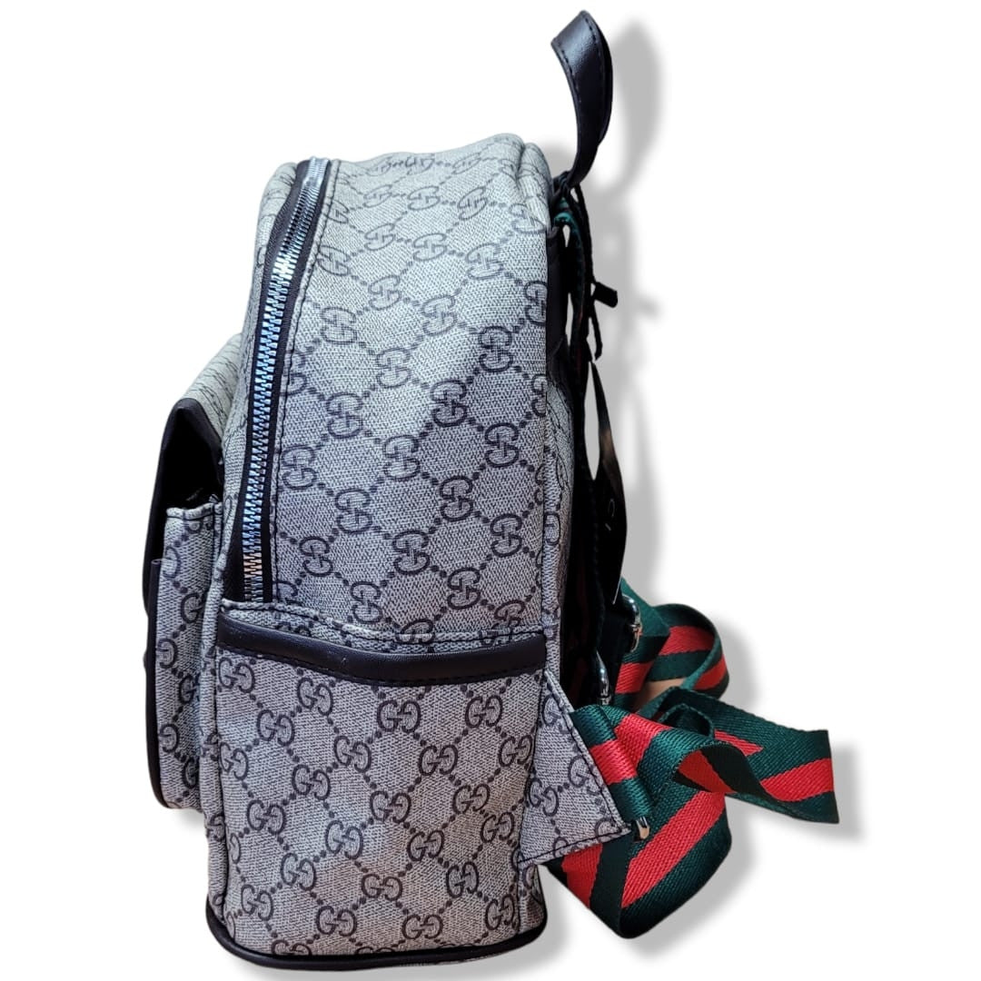 Bolso Gucci y Louis Vuitton