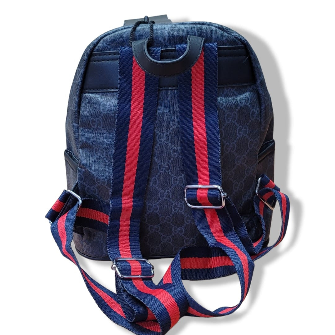 Bolso Gucci y Louis Vuitton