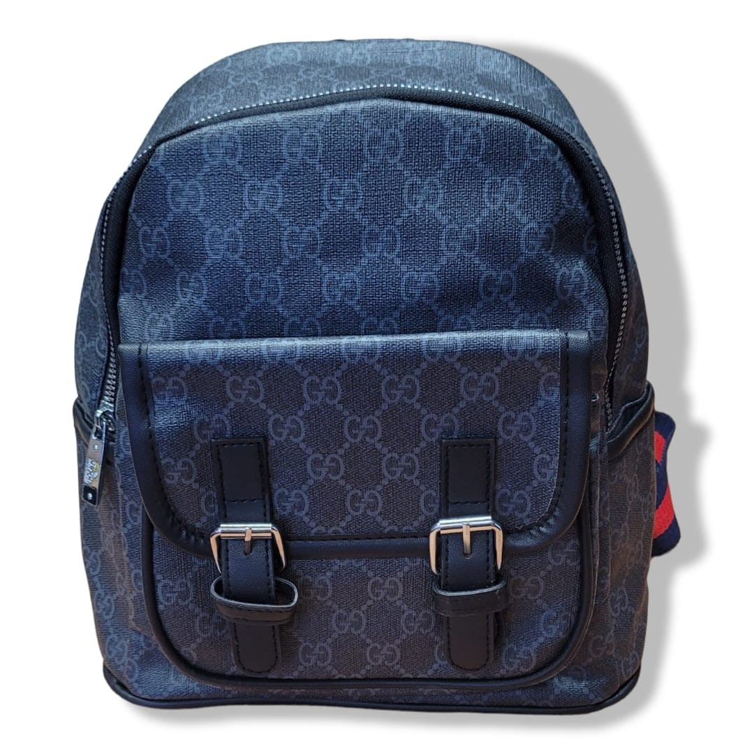 Bolso Gucci y Louis Vuitton