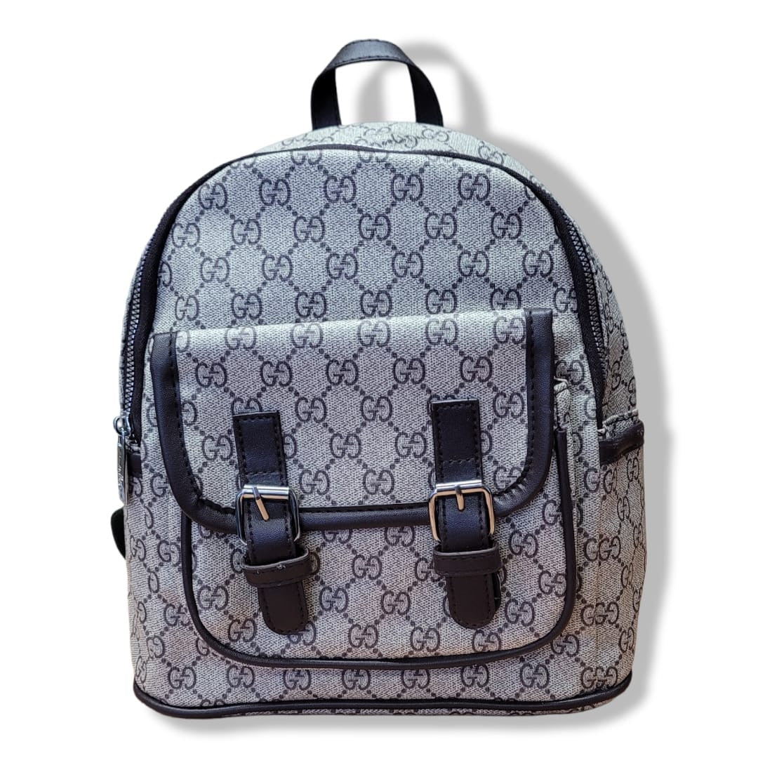 Bolso Gucci y Louis Vuitton